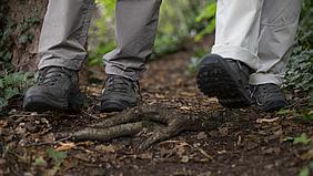 Wandern im Wald.